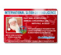 Coolrideplates Santa’s Lost Sleigh Driving Licence - Magical Christmas Keepsake & Stocking Filler for Kids