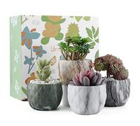 Coolty 4pcs Mini Ceramic Succulent Pot, 8.5CM Marbling Flower Pot, Succulent Cactus Bonsai Planter Pots Container for Home Office Decoration Gift