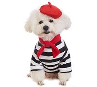 Coomour Artist Dog Costume with Funny Hat Painter Pet Clothes for Small Dog Shirts Puppy Summer T-Shirt (S) Black…