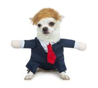 Coomour Dog Suit Costume Pet Wedding Shirt with Wig Funny Dog Suit and Tie for Small Medium Dog Cat Wedding Party Formal Gentleman Clothes (S)