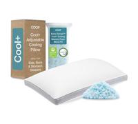 Coop Home Goods Eden Plus Pillow King