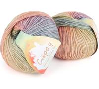 Coopay Gradient Yarn Cake, 2×100g Cake Yarn for Crochet & Knitting - 50% Cotton 50% Acrylic - Rainbow Gradient Crochet Yarn, Double Knit Ombre Yarn for Blankets Sweaters Scarves Shawls (102 Rainbow)