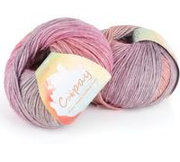Coopay Gradient Yarn Cake, 2×100g Cake Yarn for Crochet & Knitting-50% Cotton 50% Acrylic-Soft Gradient Crochet Yarn, Double Knit Ombre Yarn for Blankets Sweaters Scarves Shawls (107 Evening Sunset)