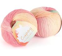 Coopay Gradient Yarn Cake, 2×100g Cake Yarn for Crochet & Knitting-50% Cotton 50% Acrylic-Soft Gradient Crochet Yarn, Double Knit Ombre Yarn for Blankets Sweaters Scarves Shawls (109 Flower Season)