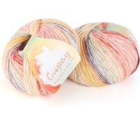 Coopay Gradient Yarn Cake, 2×100g Cake Yarn for Crochet & Knitting - 50% Cotton 50% Acrylic - Soft Gradient Crochet Yarn, Double Knit Ombre Yarn for Blankets Sweaters Scarves Shawls (201 Sunset)