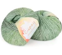 Coopay Gradient Yarn Cake, 2×100g Cake Yarn for Crochet & Knitting - 50% Cotton 50% Acrylic - Soft Gradient Crochet Yarn, Double Knit Ombre Yarn for Blankets Sweaters Scarves Shawls (103 Green)