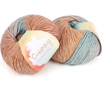 Coopay Gradient Yarn Cake, 2×100g Cake Yarn for Crochet & Knitting - 50% Cotton 50% Acrylic - Soft Gradient Crochet Yarn, Double Knit Ombre Yarn for Blankets Sweaters Scarves Shawls (110 Oil Painting)