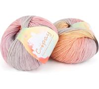 Coopay Gradient Yarn Cake, 2×100g Cake Yarn for Crochet & Knitting - 50% Cotton 50% Acrylic - Soft Gradient Crochet Yarn, Double Knit Ombre Yarn for Blankets Sweaters Scarves Shawl(105 Colorful Dream)