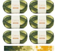 Coopay Ombre Yarn for Crochet & Knitting, 6×100g Acrylic Yarn Crochet Yarns Set, Soft DK Gradient Yarn for Knitting, Double Knit Ombre Knitting Yarn for Blankets Shawls Hats Scarf (103 Forest Green)
