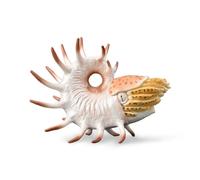 Cooperoceras Figurine