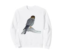 Cooper's Hawk Original Ornithology Bird Art Sweatshirt