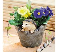 Coopers of Stortford Hedgehog Planter Dia. H15.5cm