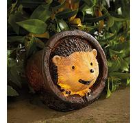 Coopers of Stortford Hedgehog Solar Light 11 x 11.5 x 14.5cm