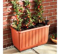 Coopers of Stortford - Wheeled Self Watering Tomato Planter with Casters - Patio Vegetable and Herb Grow Box, 40L Soil Capacity