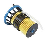 Fuel Filter Insert Fits Citroen Relay Peugeot Boxer CoopersFiaam FA6805ECO