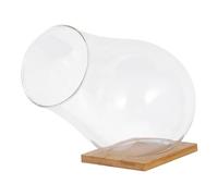 COOPHYA 1set Clear Glass Terrarium Bowl for Plants Decorative Centerpiece for Home Weddings Transparent Plant Container Mat for Indoor Gardens