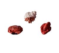 COOPHYA 3 Pcs Seafood Resin Ornament Set Featuring Lobster Crab and Conch Mini Desktop Sculptures for Home and Office Decor, Simple Portable Design That Stands Steadily and Is Not Easy