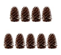 COOPHYA 9pcs Natural Pine Cones for Decoration DIY Crafts Brown Pine Cone Material for Holiday and Home Décor Projects with Chic and Practical Style