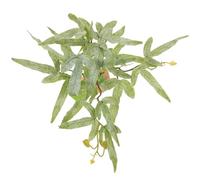 COOPHYA Artificial Reptile Tank Plant Decoration Made of Resin with Assorted Colours, Easy to Install Climbing Ornament Providing Obstacles for Reptiles and Fish in Terrarium Or Home