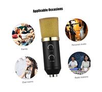 COOPHYA Durable Professional Condenser Mic with Echo Function for Studio Sound Recording Broadcasting Includes Stand Rack Golden Finish for Webcasting and Voice Over Applications
