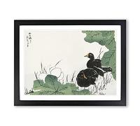 Coot Bird & Lotus Flower By Numata Kashu Asian Japanese Framed Print | A4 Black Framed Wall Art | Ready to Hang | Asian Floral Picture | Living Room Bedroom Lounge Office