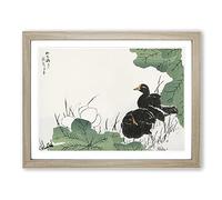 Coot Bird & Lotus Flower By Numata Kashu Asian Japanese Framed Print | A4 Oak Framed Wall Art | Ready to Hang | Asian Floral Picture | Living Room Bedroom Lounge Office