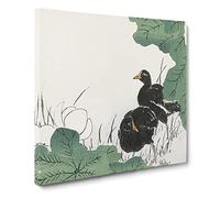 Coot Bird & Lotus Flower by Numata Kashu Canvas Print | Gallery Wrapped 30mm Frame Wall Art | 20x20 inches | Ready to Hang | Modern Animals Picture | Living Room Bedroom Lounge Office