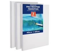 COOZEE 40x60cm Stretched Canvas Set for Painting, 3 Pack Canvases Set for Beginners and Artists, 280gsm Stretched Wooden Canvas Frames for Acrylic, Oil, and Watercolor Painting