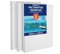 COOZEE 50x60cm Stretched Canvas Set for Painting, 3 Pack Canvases Set for Beginners and Artists, 280gsm Stretched Wooden Canvas Frames for Acrylic, Oil, and Watercolor Painting