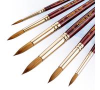 COOZEE Watercolor Paint Brush Set, Imitation Sable Paintbrushes with Different Tips, Wooden Handle, Ideal Artist Brush for Watercolor Painting, 6Pcs (Round)