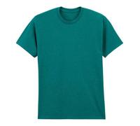COOZO Men's T-Shirt - Antique Jade Dome - 3XL