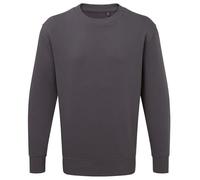 COOZO Unisex Anthem Sweatshirt - Charcoal - L