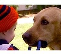 Cop Shot; Girls Survive Big Wave; Aussie Capsized; Deserted Baby Success; Dog Saves Boy