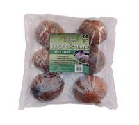 Copdock Mill Half Coconut Original 6 Pack