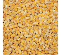 Copdock Mill Whole Maize Chicken Feed, 20kg - Premium Quality Yellow M
