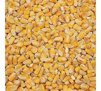 Copdock Mill Whole Maize Chicken Feed, 20kg - Premium Quality Yellow Maize - 100% Natural High In Fat and Rich In Energy Complementary Feed - Suitable for Poultry, Doves, Pigeons, Water and Game Birds