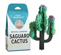 Copernicus Toys Crystal Growing Saguaro Cactus Official Terraformer kit | Grows in Hours | Facts and Instructions Included