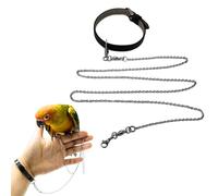 Copfeu Bird Foot Chain Flying Stainless Steel Training Rope with Leather Wrist Strap Outdoor Parrot Ankle Foot Ring Accessories Bird Harness Leash Prevent Escaping (Model 6 Set)