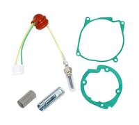 Copgge 12V 5KW Diesel Heater Glow Plug Maintenance Kit Parking Heater Service Kit Glow Plug Repair Kit with Screen Gasket for Eberspacher Airtronic D4 D4S D5 Diesel Heater, for Chinese Diesel Heater