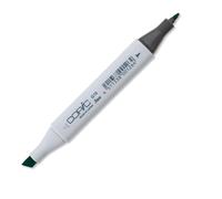 Copic Classic Coloured Marker Pen - (G-19) Bright Colours Parrot Green, For Art & Crafts, Colouring, Graphics, Highlighter, Design, Anime, Professional & Beginners, Art Supplies & Colouring Books