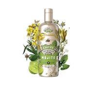 Coppa Cocktails Ready-to-Drink Mojito | Easy Premium Pre-Mixed | Just Add Ice | 10% ABV | 70cl