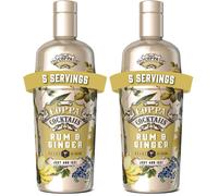 Coppa Cocktails ReadytoDrink Rum and Ginger Easy Premium PreMixed Just Ad