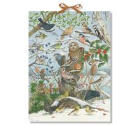 Coppenrath Birds in Winter Birdsong Traditional Luxury Christmas Picture Advent Calendar Designed by Christine Henkel: Unsere Vögel im Winter Mit 24 Vogelstimmen hinter den Türchen