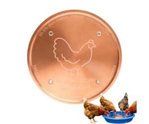 Copper Bird Bath Disc - 10CM Cleaning Water Purification Coin Algae Prevention Tool Decorative Fountain Maintenance Accessories Traitem Aid