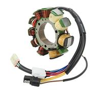 Copper Ignition Stator Coil: Replacement of Ext Efi Lc 1998, Powder 500, 600, ZL and ZR