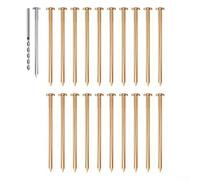 Copper Nails as a Practical Solution for Tree Stump Removal Fast Acting and Environmentally Safe (20PCs)