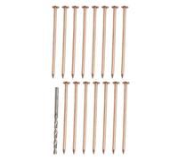 Copper Nails for Tree Stump Removal, 4 Inch Root Killing Spikes with Drill Bit, Pack of 20 Compatible with Hardwood and Stubborn Roots 15pcs