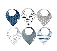 Copper Pearl Baby Bandana Bibs for Drooling and Teething 6 Pack Gift Set Rider