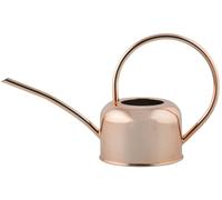 Copper Plated Watering Can Home And Garden Pest Control Solution For Effective