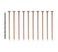 Copper Tree Killing Nails 3.15 Inch Stump Removal Spikes for Root Killer, Pure Copper Spikes to Kill Unwanted Trees and Roots, For Easy Use with Drill Bit, 10 Pack Hardware